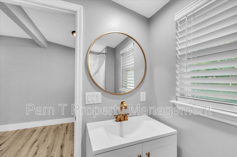 3 bedroom home with mother-in-law apartment in back property image