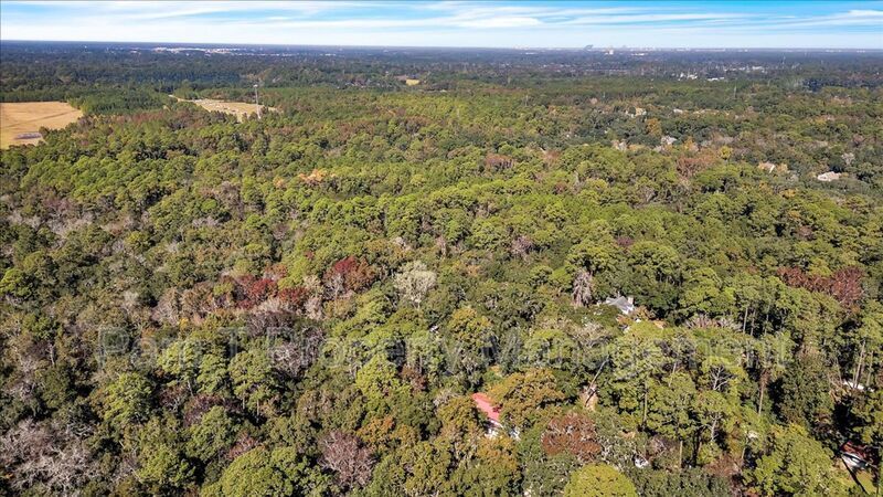 Cozy 1 bedroom/1 bath off of Ferguson property image